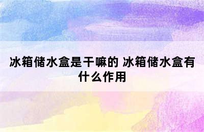 冰箱储水盒是干嘛的 冰箱储水盒有什么作用